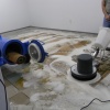 Оборудование для чистки ковров и профессиональная мойка ковров от специалистов